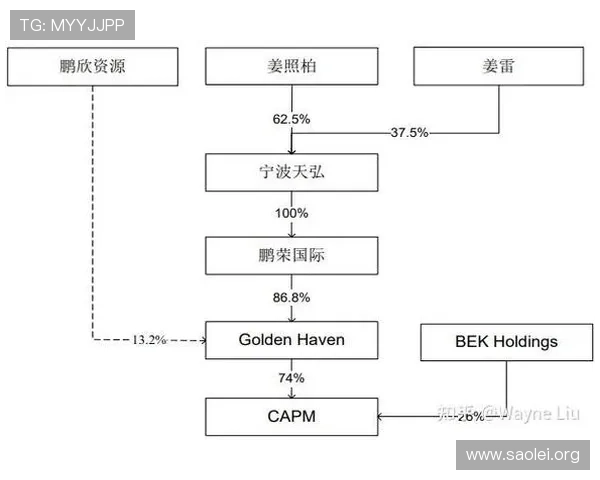 南非对韩国球队状态评估：战术策略、球员状态及比赛胜负关键因素分析